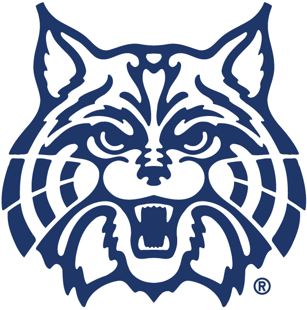 Arizona Wildcats 1990-Pres Alternate Logo diy fabric transfer